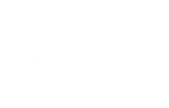 Adidas logo